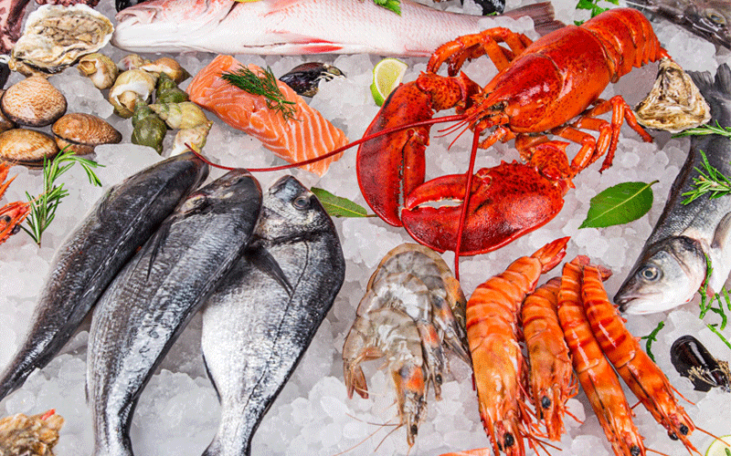 غذاهای دریایی در رژیم مدیترانه ای
