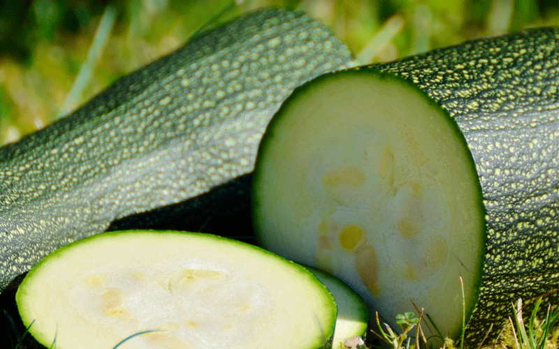 لاغری با کدو سبز