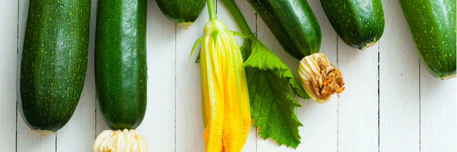 کدو سبز و لاغری