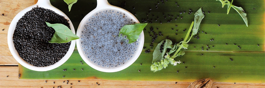 خواص دانه های گیاه ریحان