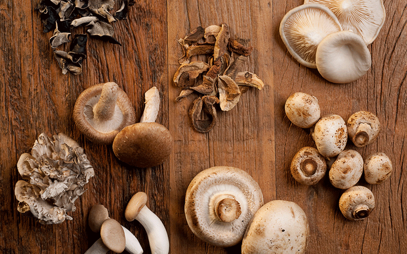 فواید مصرف قارچ