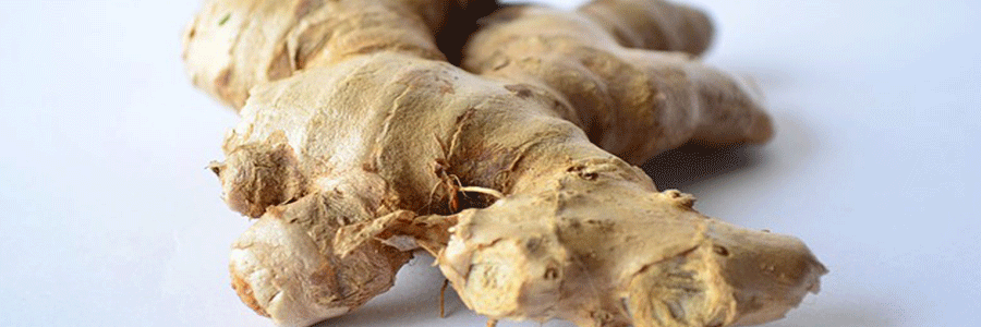 زنجبیل و ریشه آن