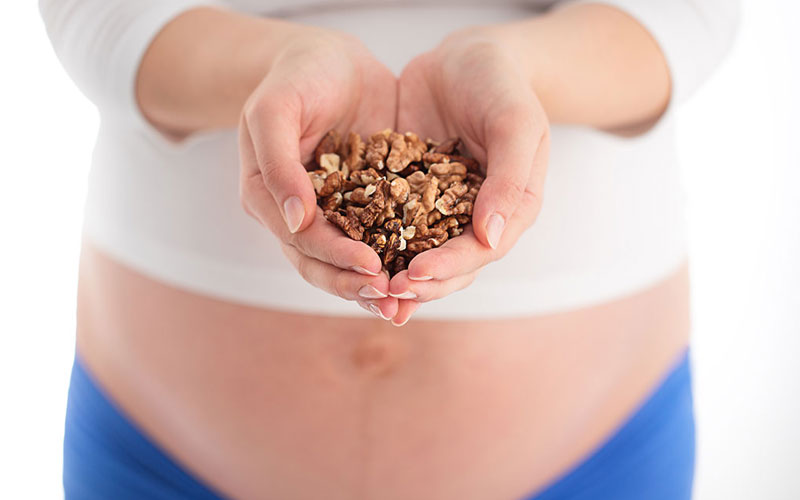 مزایای مصرف گردو در دوران بارداری