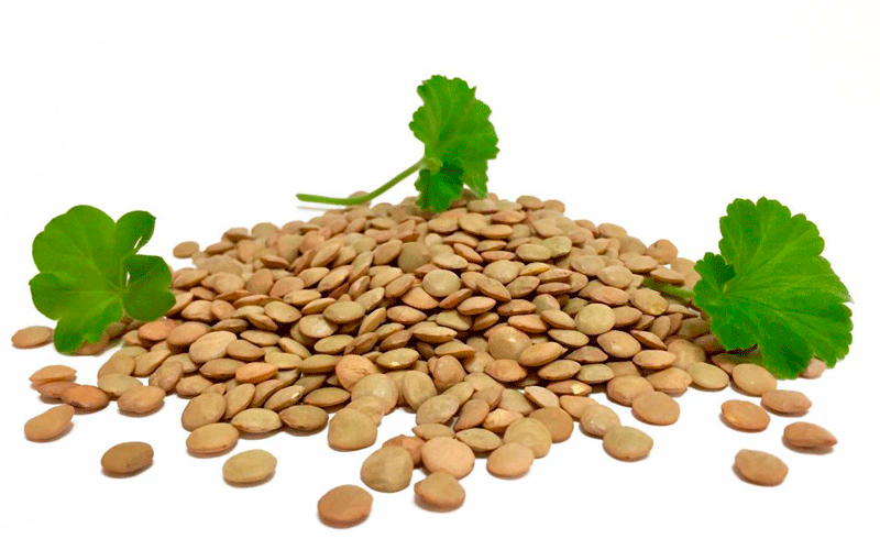 مضرات مصرف بیش از حد عدس