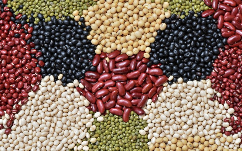 حبوبات حاوی آهن هستند