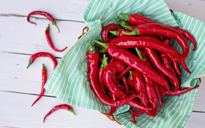 فلفل و لاغری