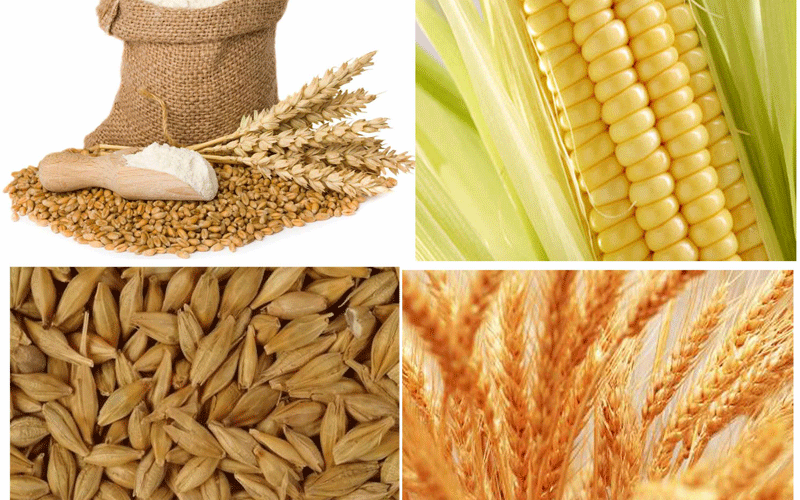 غلات و مادران شیرده