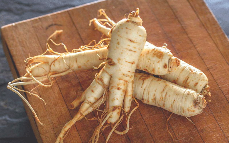 تقویت قوای جنسی با جینسینگ