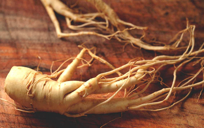 جنسینگ چیست