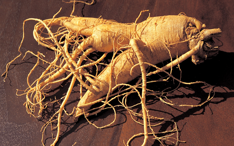 جینسیگ قرمز