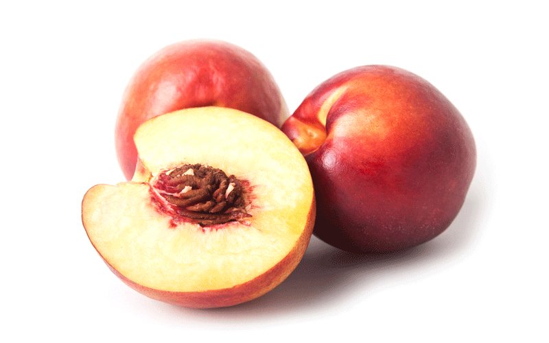 خواص بی شمار شلیل