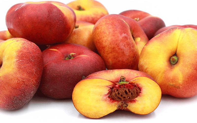 فواید بی نظیر شلیل