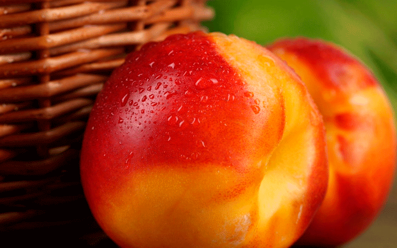 فواید شلیل برای بدن