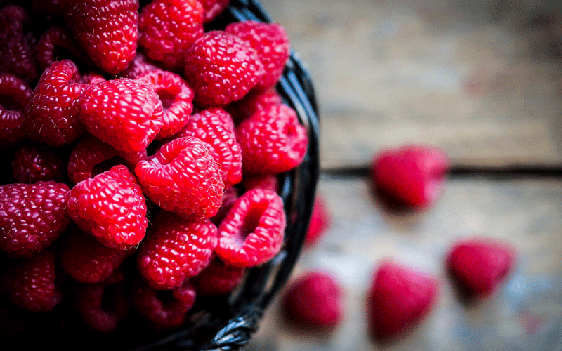 مصرف تمشک در بارداری