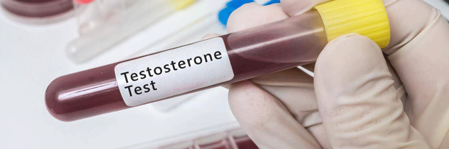 نقش هورمون ها