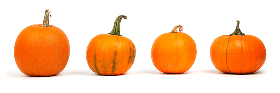 خواص کدو تنبل