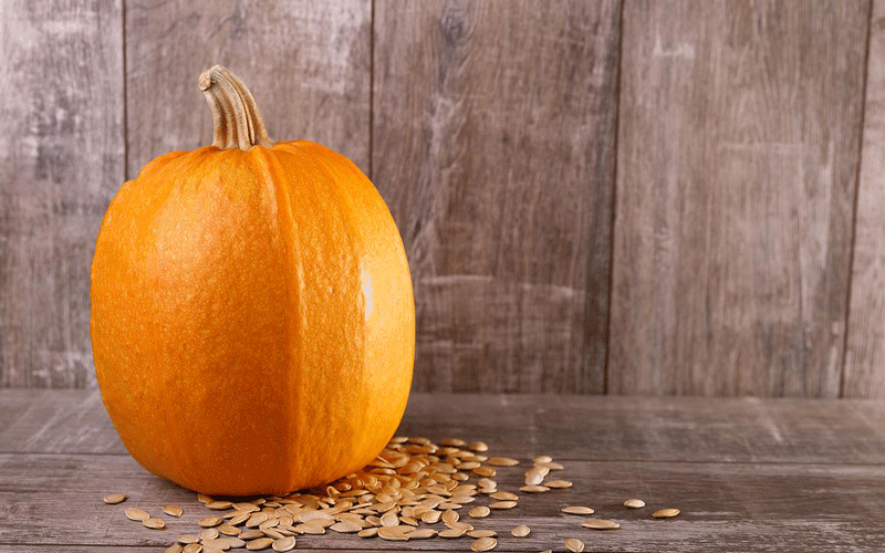 کدو تنبل در بارداری