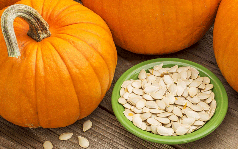 خواص دانه کدو