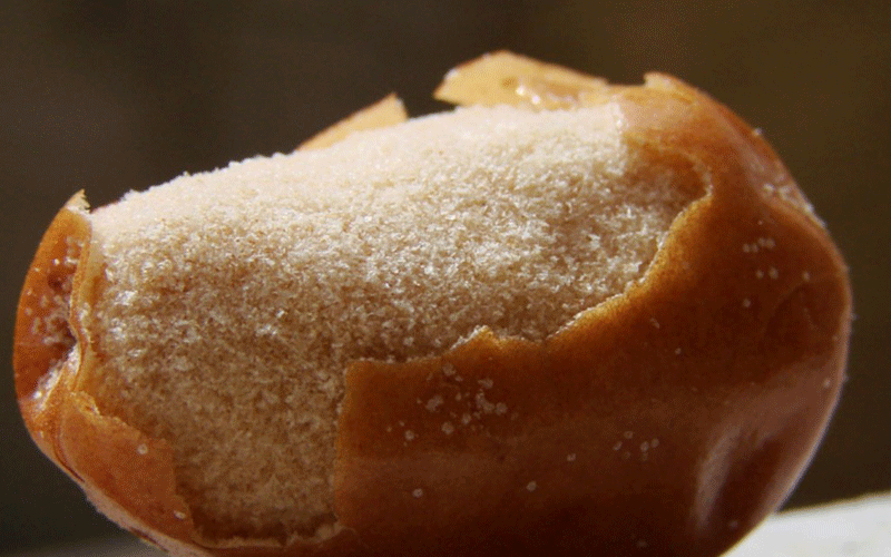 سنجد و پوست