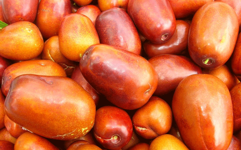 سنجد و فیبر فراوان