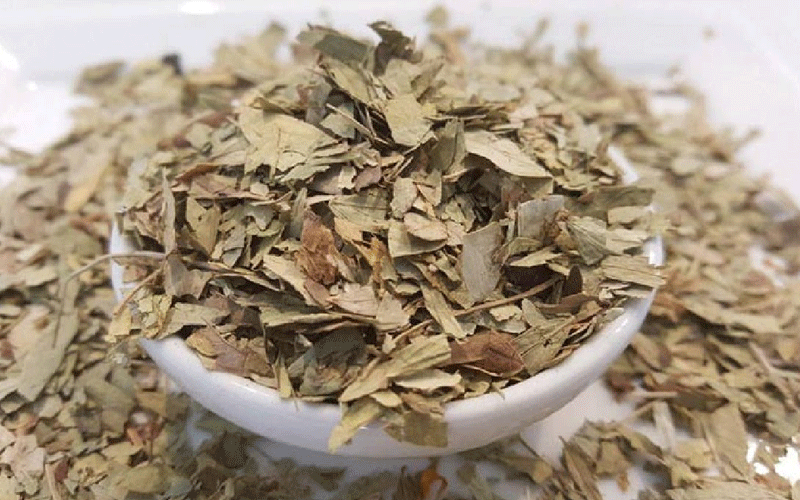 خواص برگ سنا